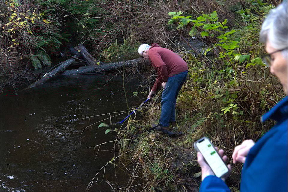 Barb Round and her husband Doug are part of a group of volunteer citizen scientists testing for a toxin called 6PPD-q that has been discovered to be lethal to migrating coho salmon. 