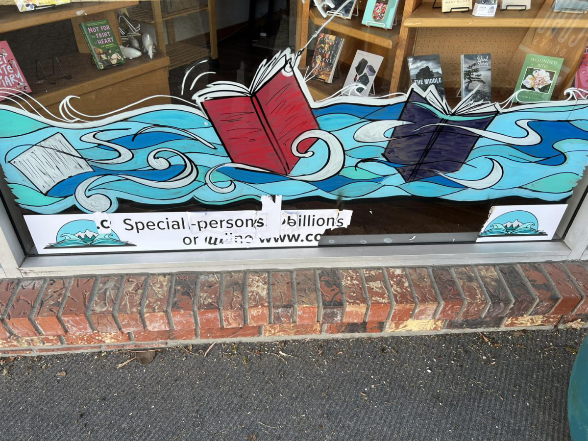 Vancouver Island bookstore's Transgender Visibility Day window display vandalized