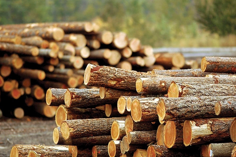 250813-crm-forestry-crisis-letter