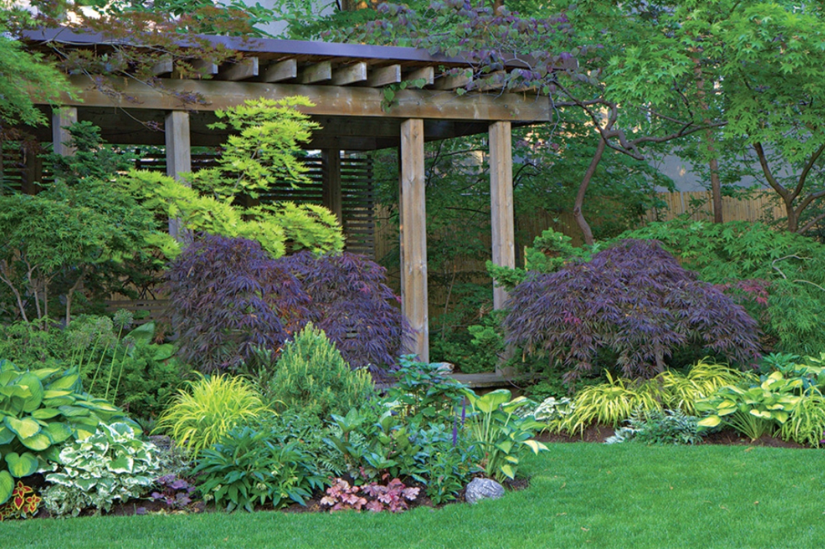 GARDENING: Create your own microclimates to keep cool