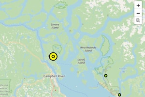 Quadra Island wildfire caused by downed powerline, says fire department