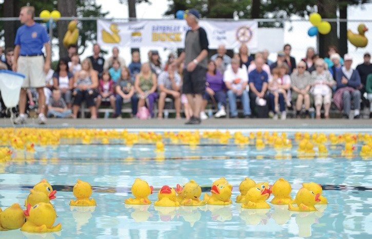 20973campbellriverfloatingducks