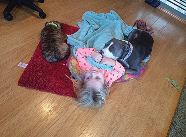 Paisley the pitbull cuddles with Kaycee and Hank the bulldog.