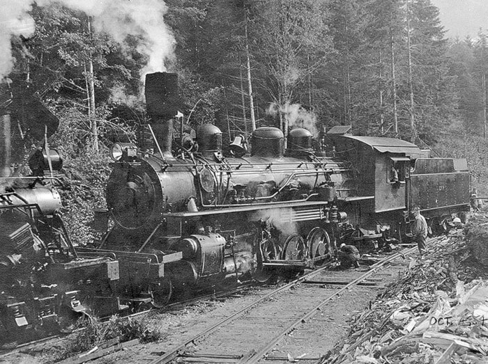 50548campbellriverLocomotiveinthewoods