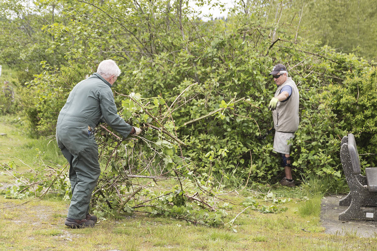 web1_170517-CRM-broom-bash_1