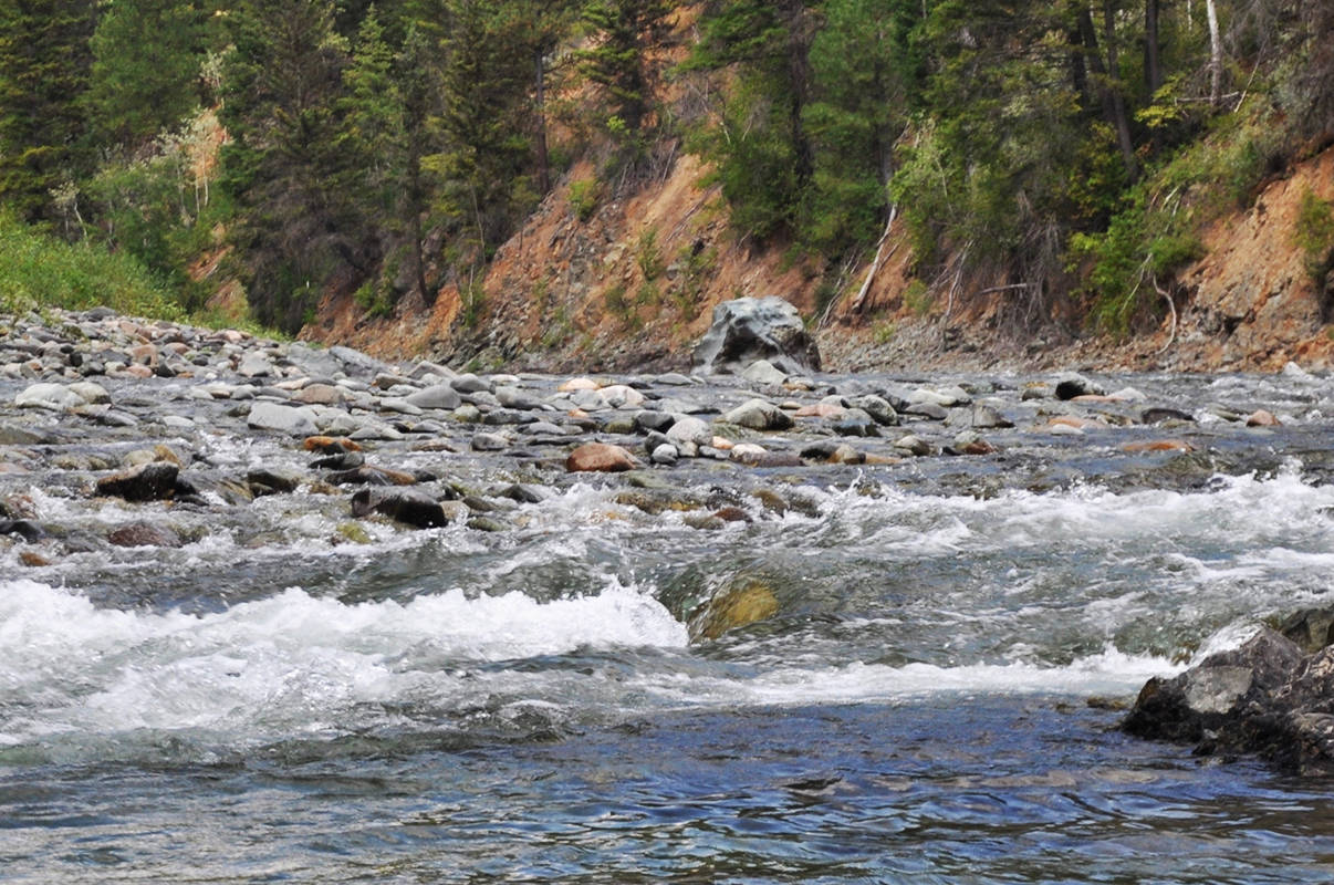 Managers plead guilty in B.C. coal mine spill