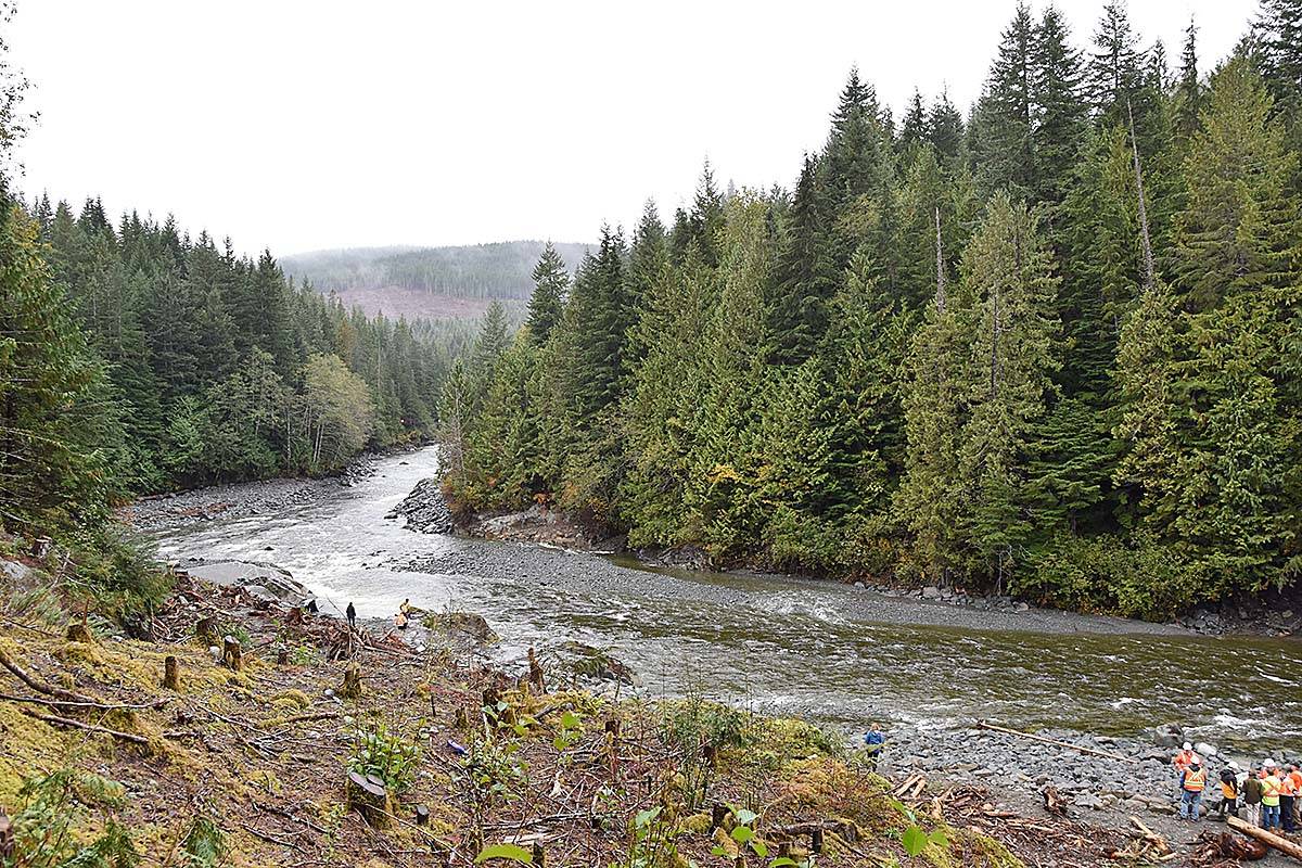 VIDEO The story of the Salmon River Diversion Dam removal Campbell