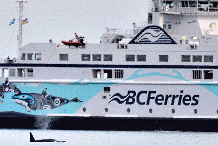 Director disappointed in ferry review parameters, calls review ‘a waste of time’ Campbell