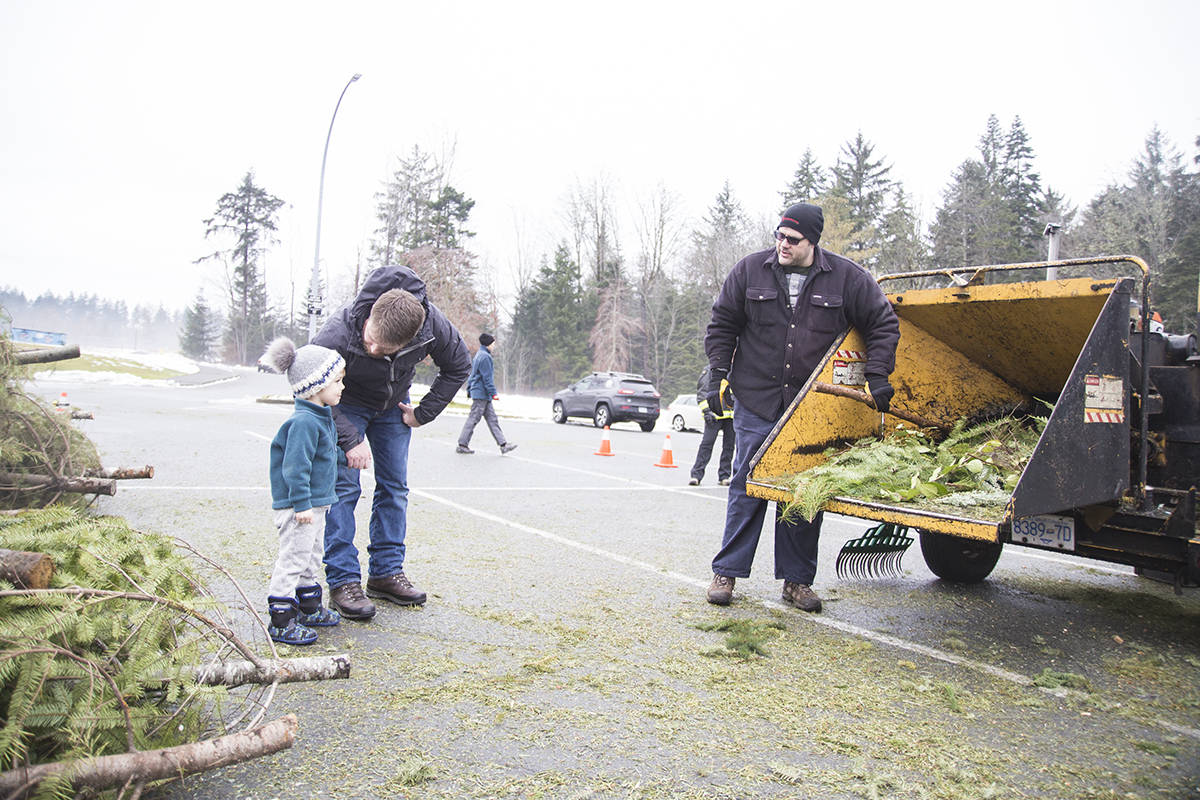 10081495_web1_copy_180110-CRM-tree-chipping_2