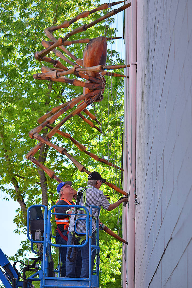 11905952_web1_180516-CRM-spider-carving-cleaning
