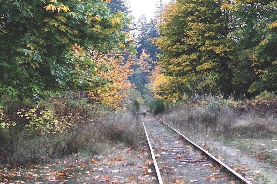 11919161_web1_180516-CCI-M-11196064_web1_180327-CCI-M-7977233_web1_170803-CCI-M-EN-tracks-look-abandoned-at-Cow-Stn.cmyk.lb