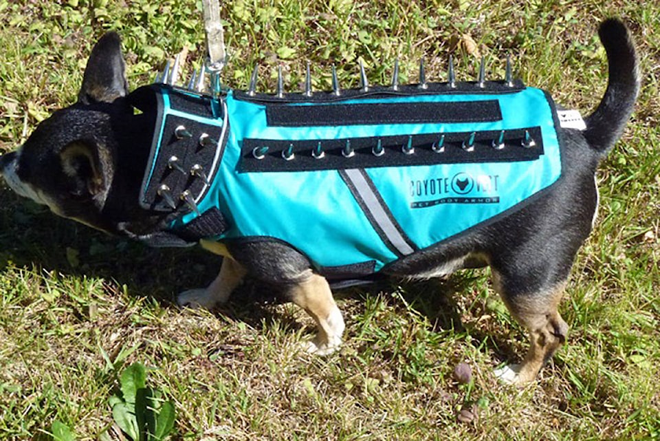 12363879_web1_180620-CRM-doggie-body-armour