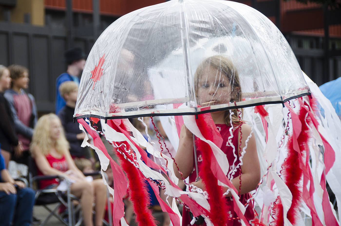 12573184_web1_Jellyfish-in-Parade