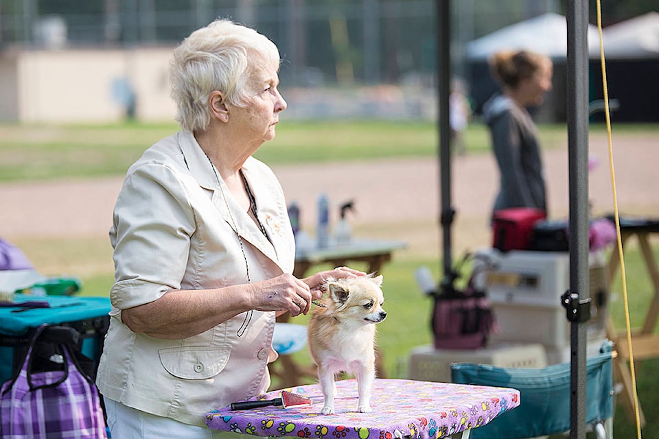 12882261_web1_180727-CRM-dog-show