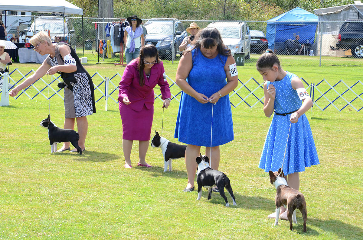 More than 200 take part in annual Campbell River dog show Campbell