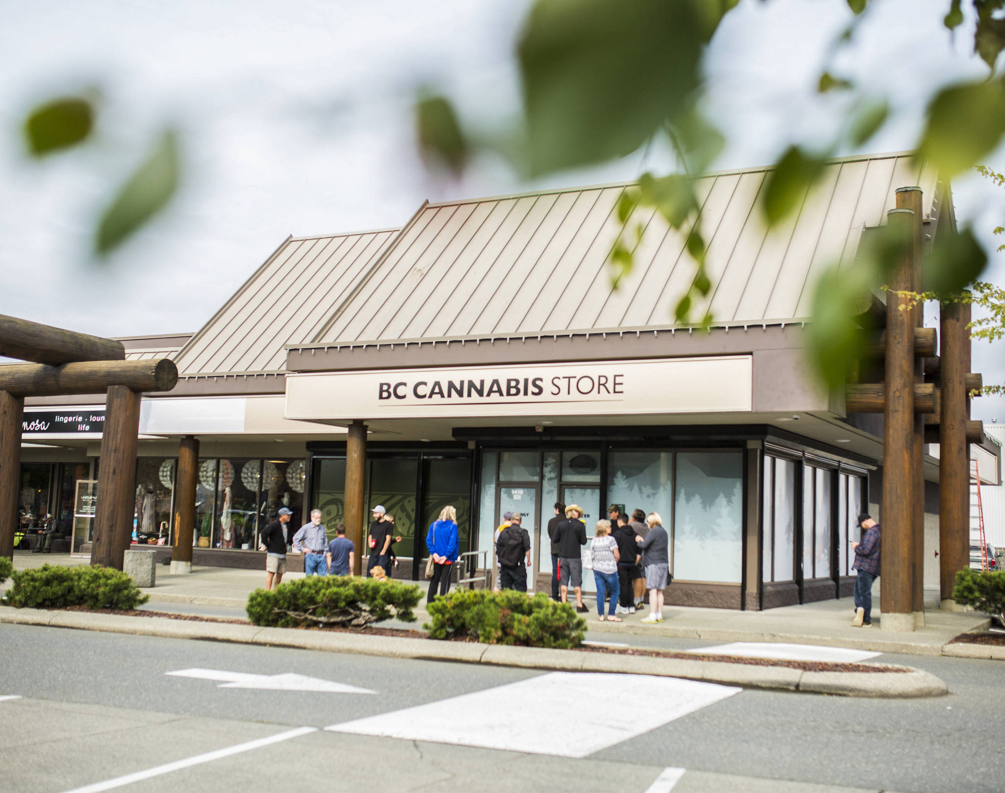 17923385_web1_190731-CRM-BC-Cannabis-Island-Opening22