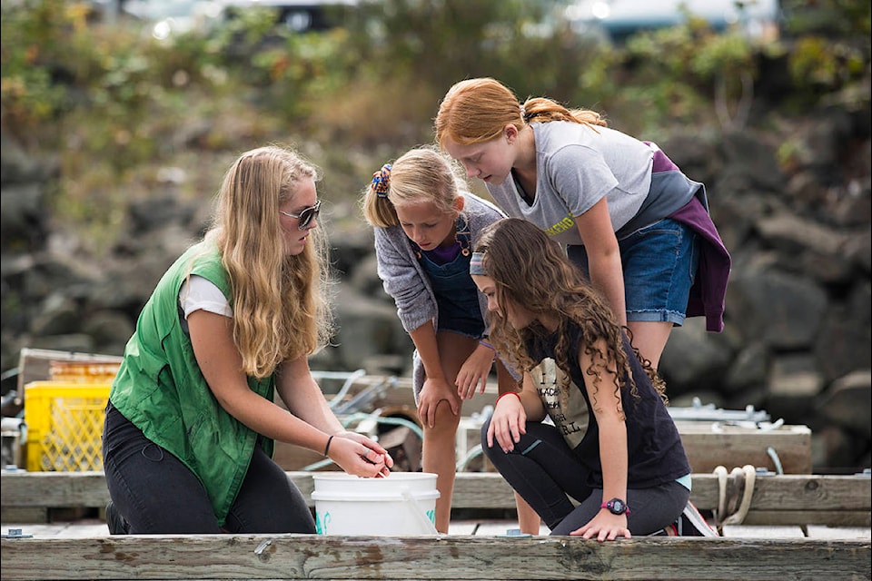 Volunteers Chloe Masson (left), McKinley Murphy (middle) and Faye Murphy (right) gather around aquarium staff member Brianna Marcoux to learn how to safely release specimens. Photo by Marissa Tiel/Campbell River Mirror