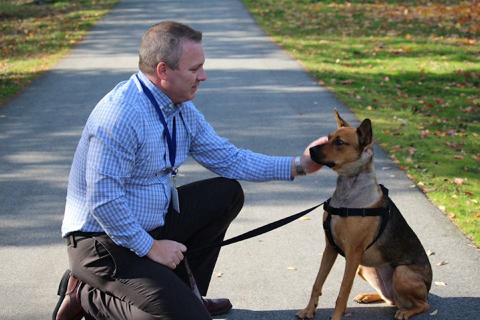 Hope, a dog that was taken into custody by the BC SPCA after a case of animal cruelty, now has a new home with Neil Roberts. Roberts is the hospital administrator at WAVES Veterinary Hospital in Langford. (Shalu Mehta/News Staff)