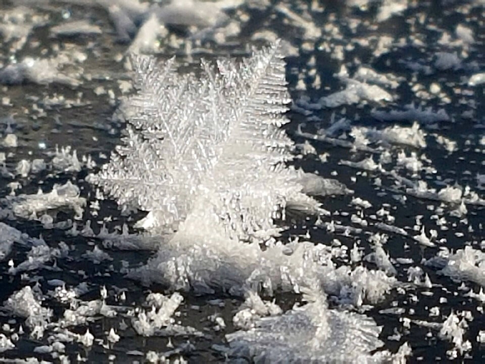 20162666_web1_snowflake-on-tchesinkut-lake