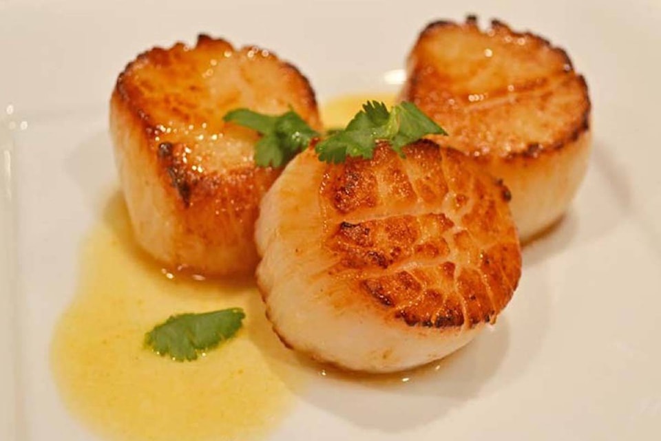 20615831_web1_200221-CRM-scallop-farm-scallops_1