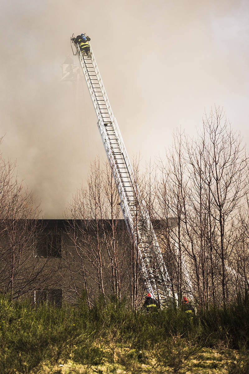 21214948_web1_200408-CRM-Dogwood-fire-apartment_2