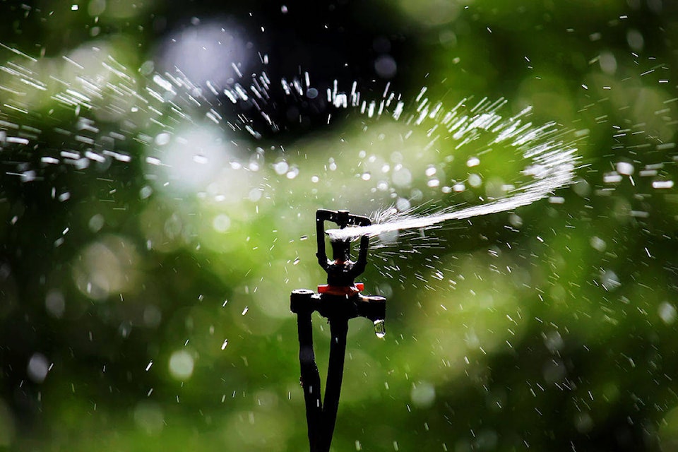 21849965_web1_200615-CRM-watering-restrictions-Sayward-sprinkler_1
