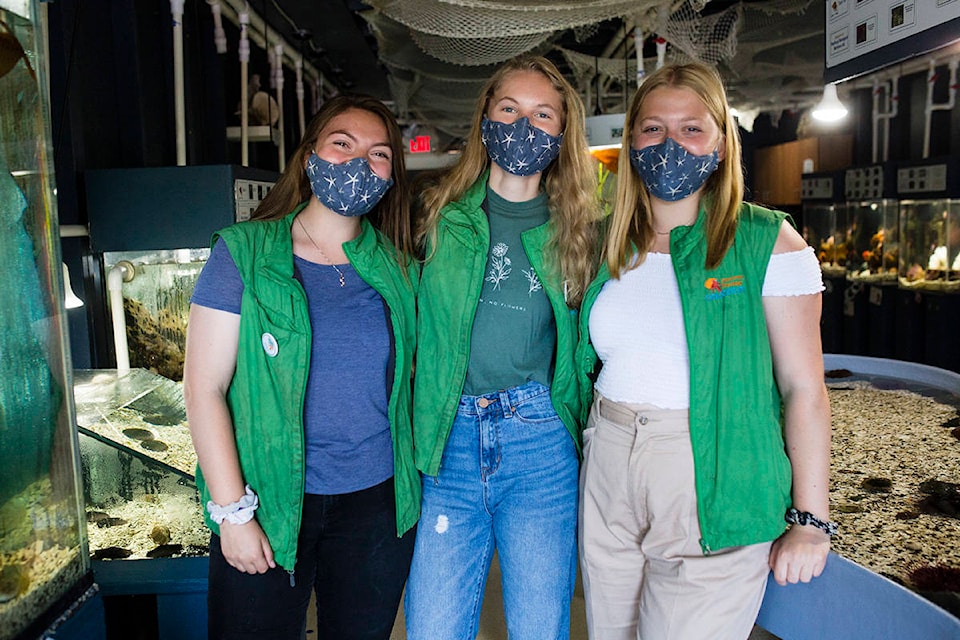 From left, Aquarium Interpreters Jessica Holden, Brianna Marcoux and Anna Nickoloff post for a photo at the Discovery Passage Aquarium on July 22, 2020. They offer knowledge on the many species in the current collection at the catch-and-release aquarium in Campbell River. Photo by Marissa Tiel – Campbell River Mirror