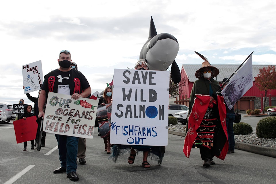 Protesters marched in downtown Campbell River against fish farms in coastal waters. Photo by Marc Kitteringham, Campbell River Mirror