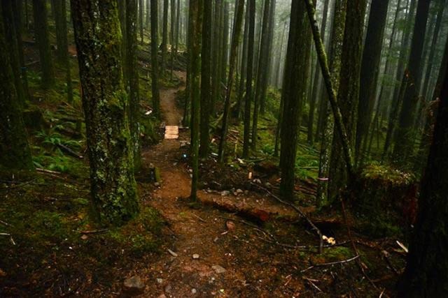 The Rotary Rock and Roll trail ready to ride. Photo supplied by Bryan Yells