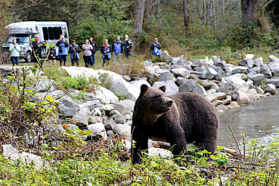 24586369_web1_210217-CRM-Homalco-wildlife-tours-HOMALCO_1