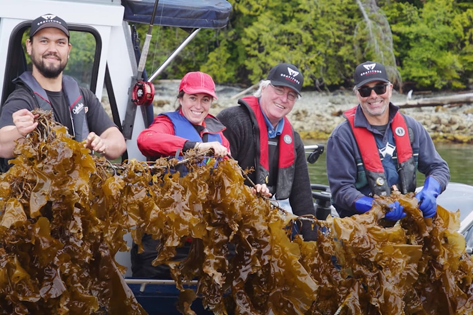 25212551_web1_210517-PNR-SeaWeedFestival-Seaweed_1