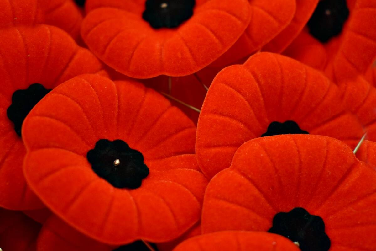 Royal Canadian Legion's 2021 National Poppy Campaign set to launch