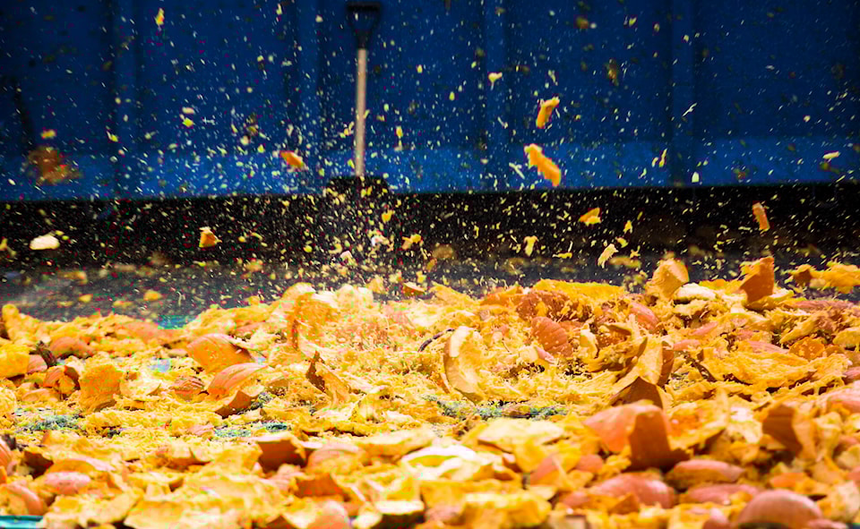 26972003_web1_211027-CRM-Pumpkin-Smash-SMASH_1