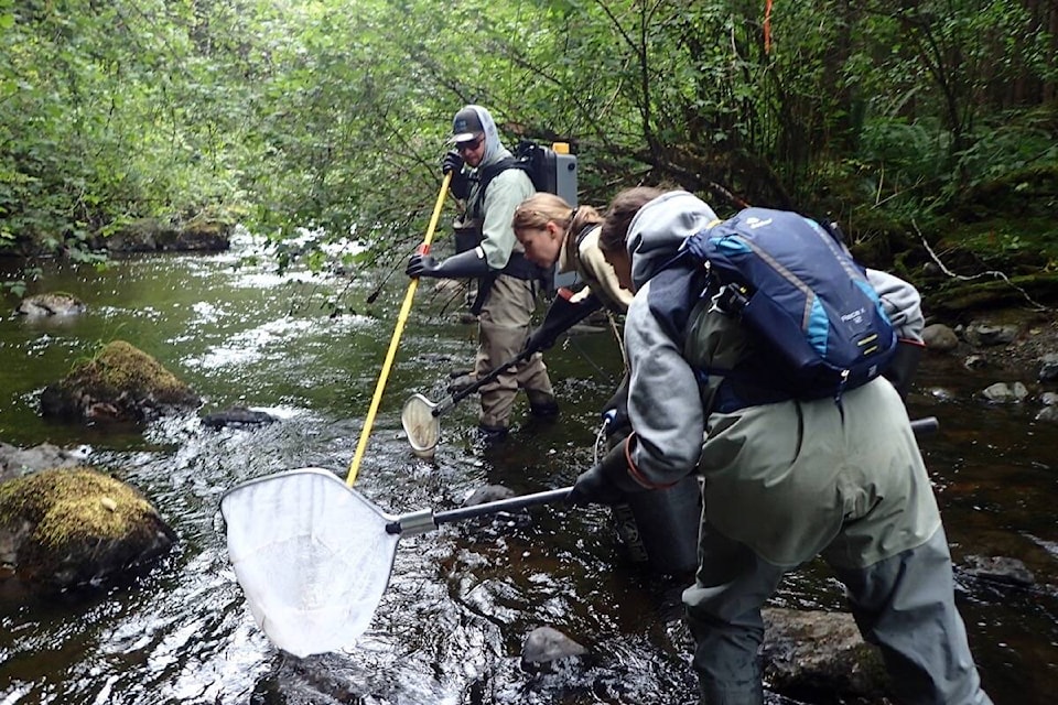 26973635_web1_211027-CRM-SFU-Salmon-Research_1