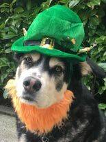 28494766_web1_220317-BPD-QUIZ-St-Patrick-ST-PATRICK_2