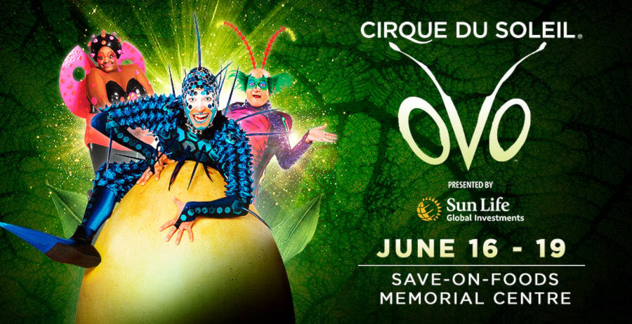 28773853_web1_220411-VNE-CirqueDuSoleil-OVO_2