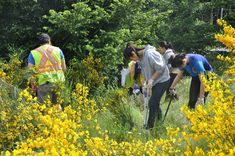 28866473_web1_220420-PQN-Broombusters-Call-for-Support-Broombusters_1