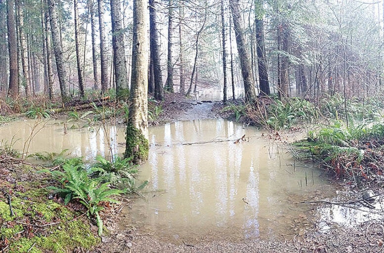 29772394_web1_170301-CRM-Oyster-Nature-Park-flood-2