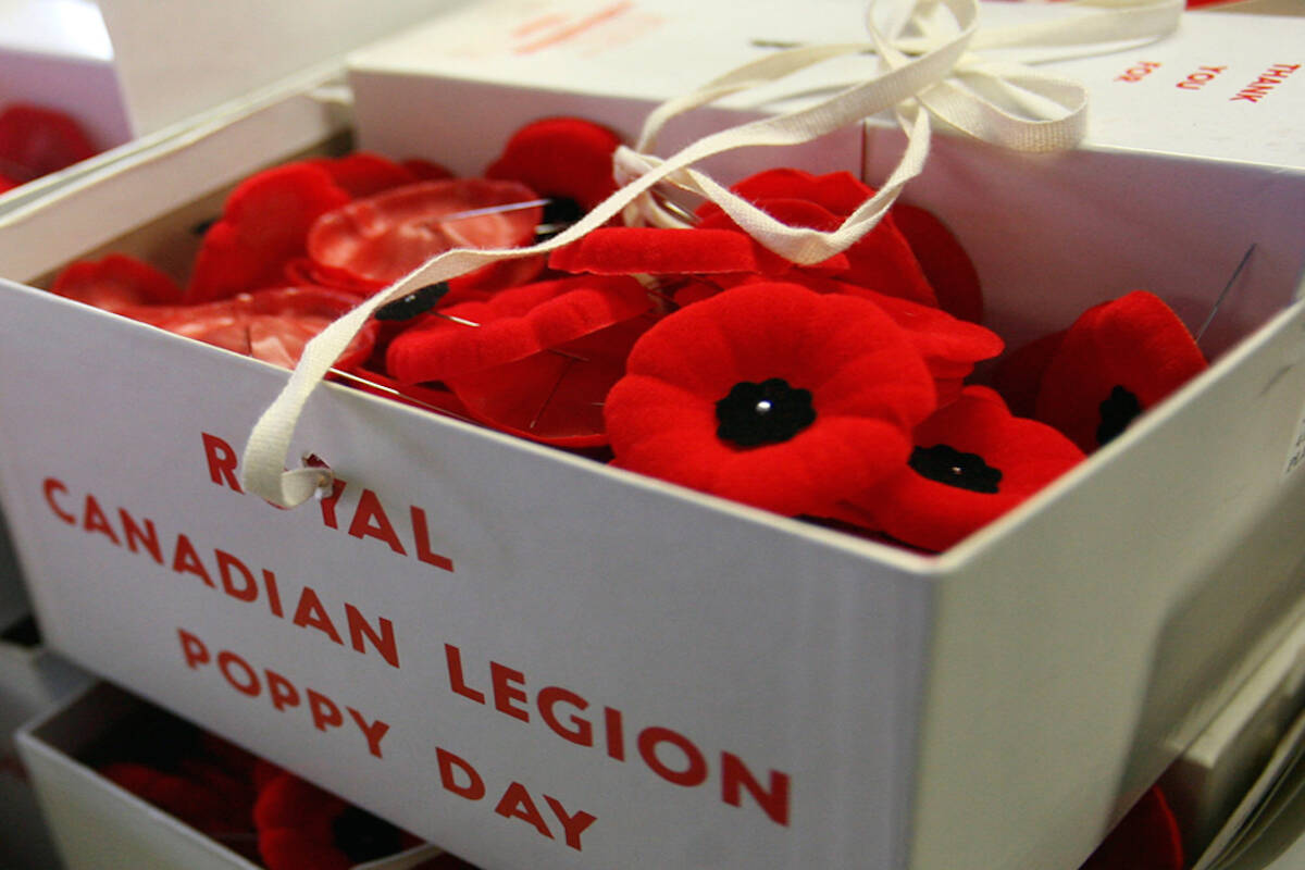 2023 National Poppy Campaign now underway