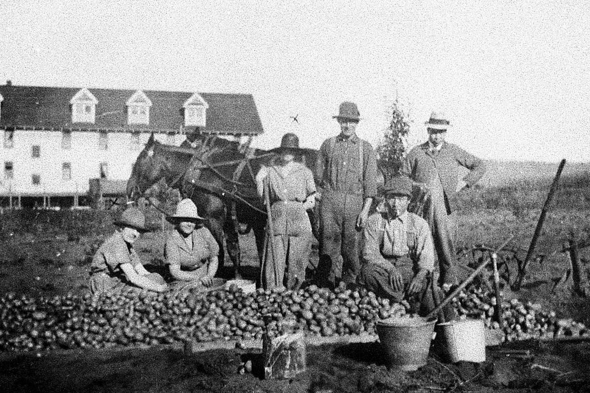 Harvest season has been a staple of local lives for centuries
