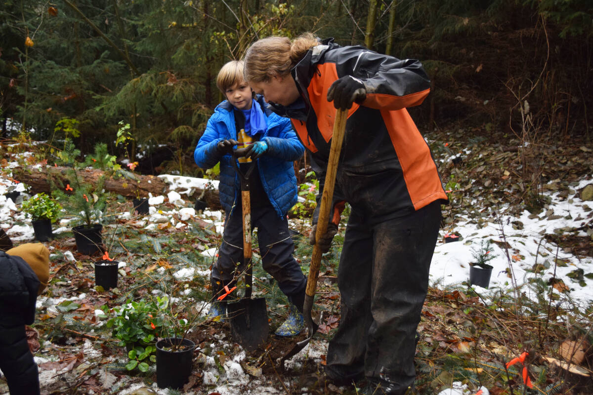 30999095_web1_221112-CRM-TD-tree-planting-Baikie-Island-tree_3