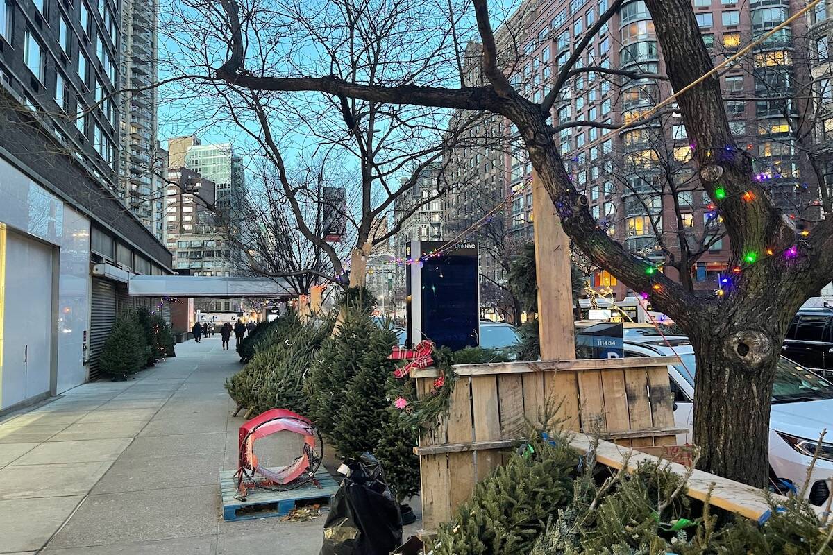 Tree stands like this one pop up all over the city after Thanksgiving. (Andy Delaney)
