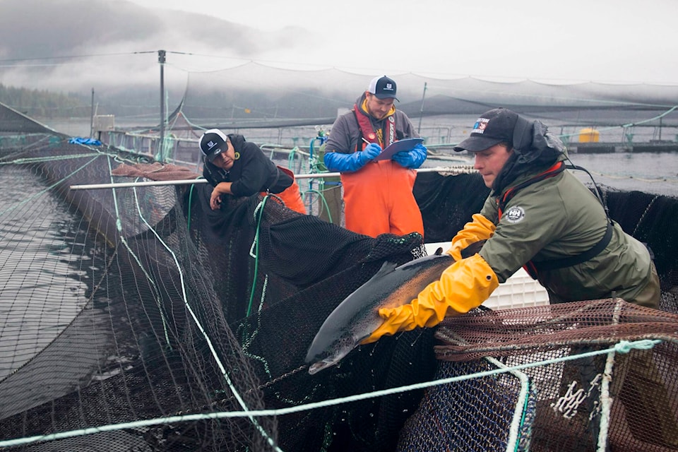 31960586_web1_230217-CPW-Fish-Farms-BC-farm_1