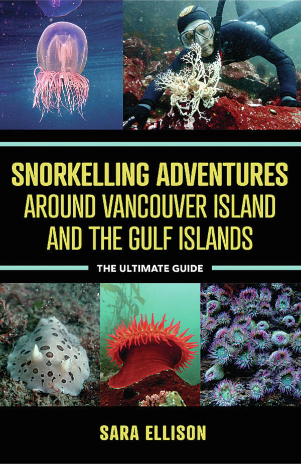 31999304_web1_230228-CRM-snorkelling-adventures-book-SNORKELLINGADVENTURES_1