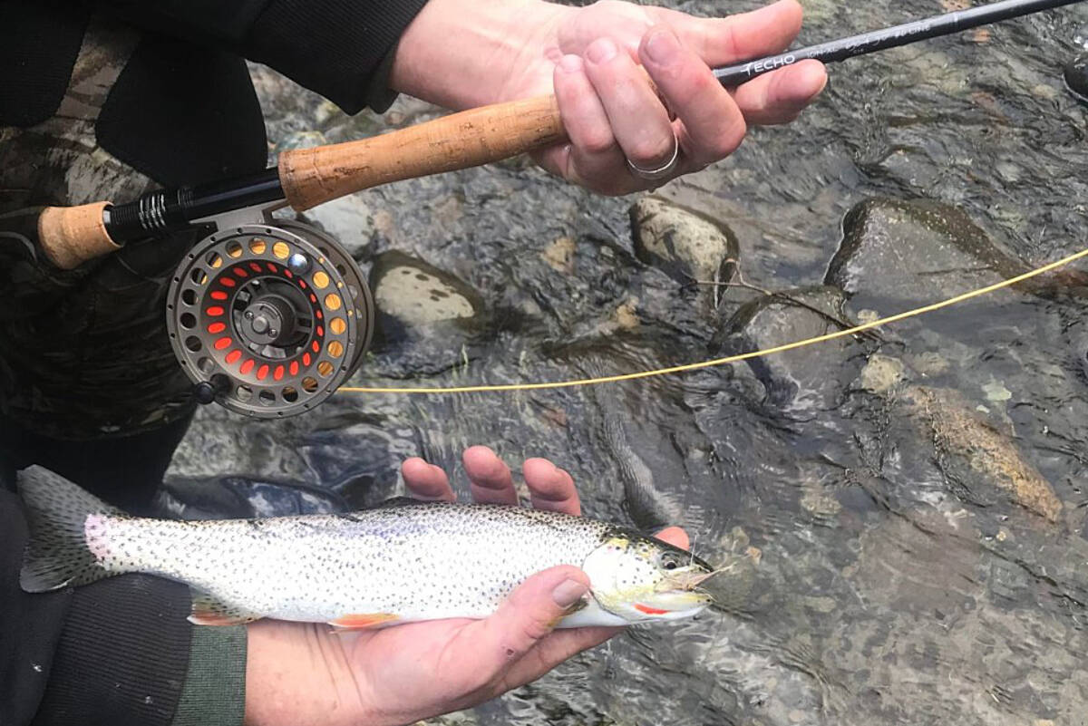 The hunt for cutthroat trout can be fun with the warmer weather approaching  - Campbell River Mirror