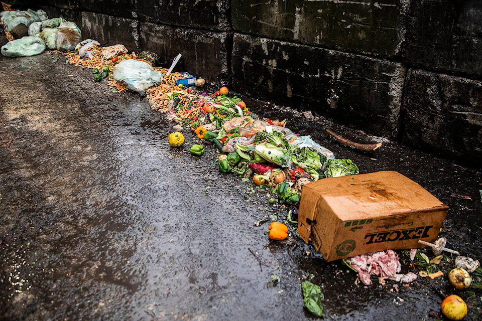 32161440_web1_P2-FoodWaste-WNC-230112-fs