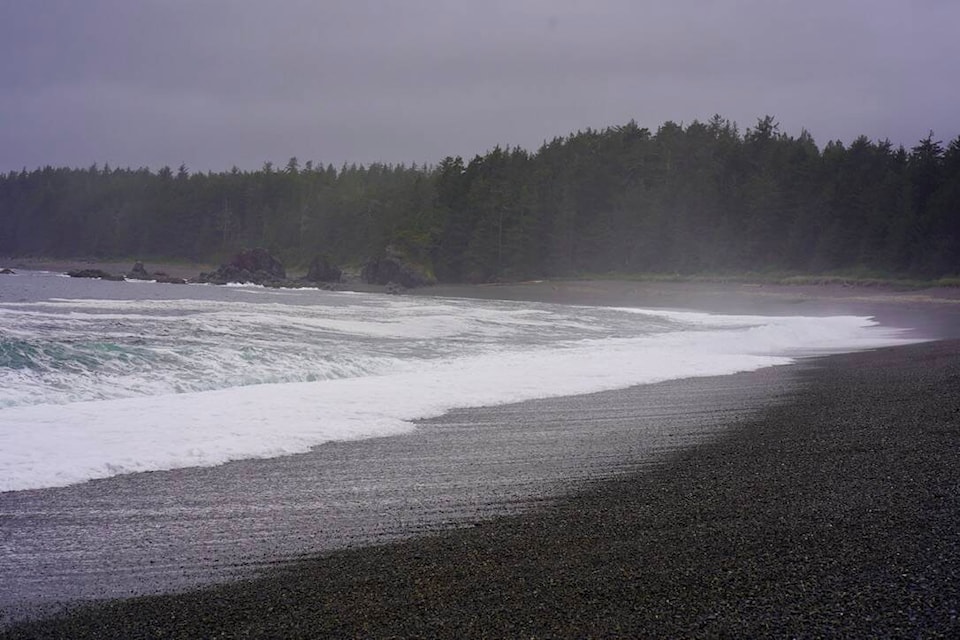 Tsunami warning campbell river