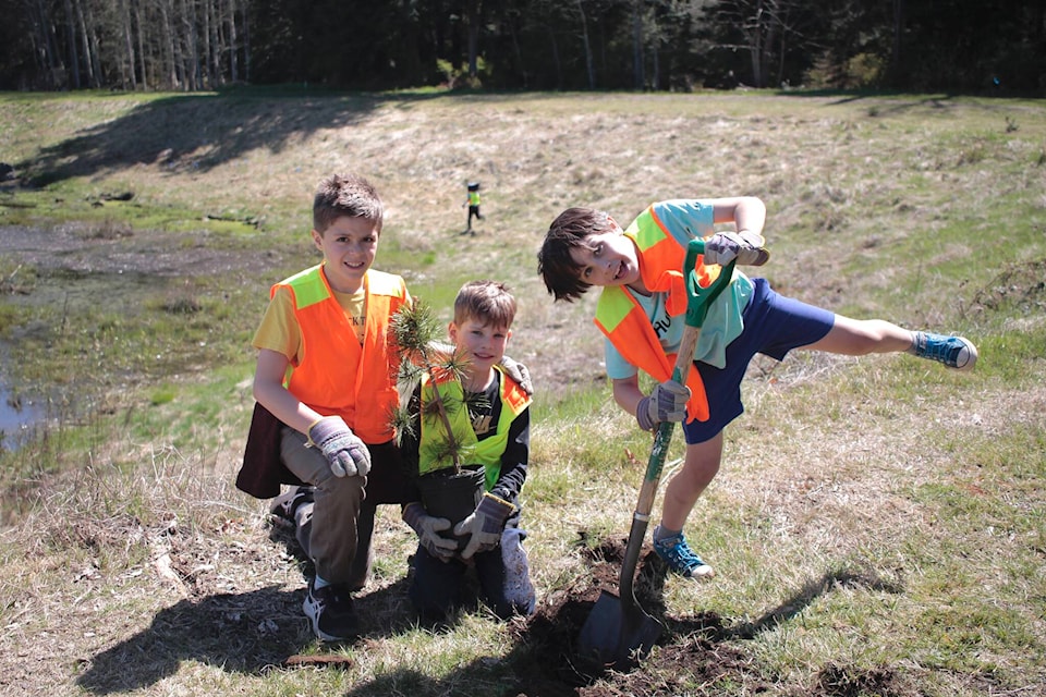 Michael Mann, Oliver Geisbrecht and Savian Zamisky work on planting a tree near a Treelane Road in Campbell River. Photo by Marc Kitteringham/Campbell River Mirror