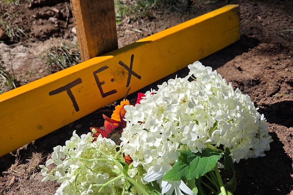 250723-crm-tex-dies3
