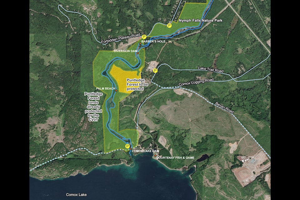 The Comox Valley Land Trust hopes to raise $500,000 to save the highlighted area of the Puntledge Forest